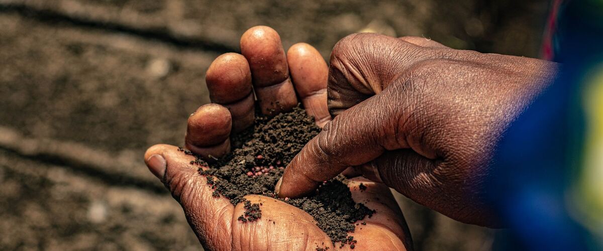 Hands holding dark garden soil