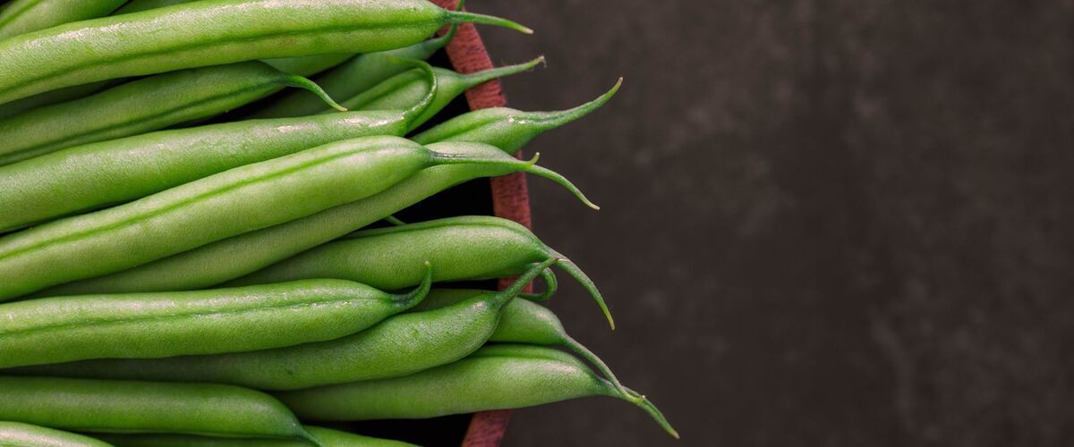Freshly picked green beans