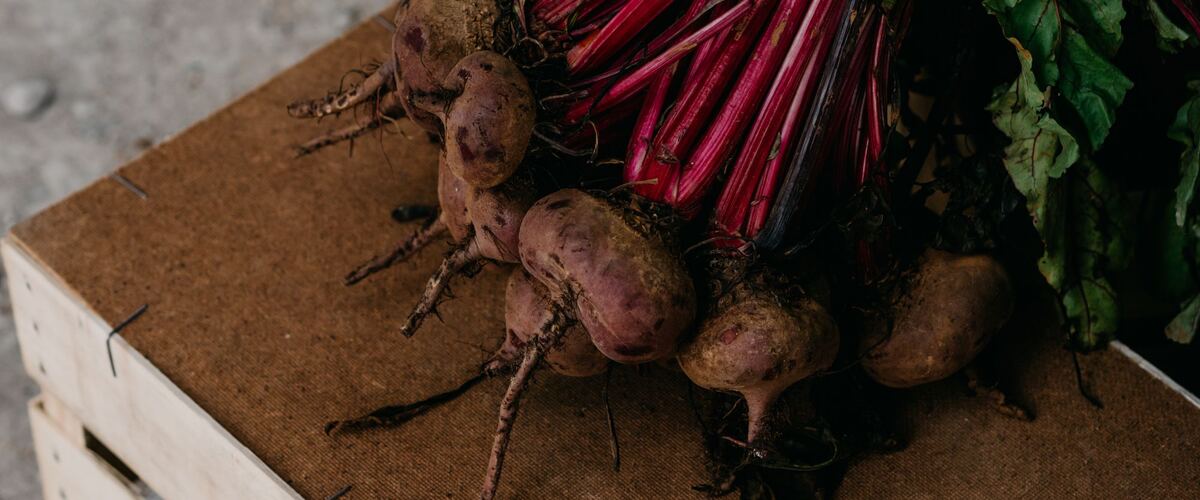 Freshly dug beets with their red-stemmed leaves in a wooden crate