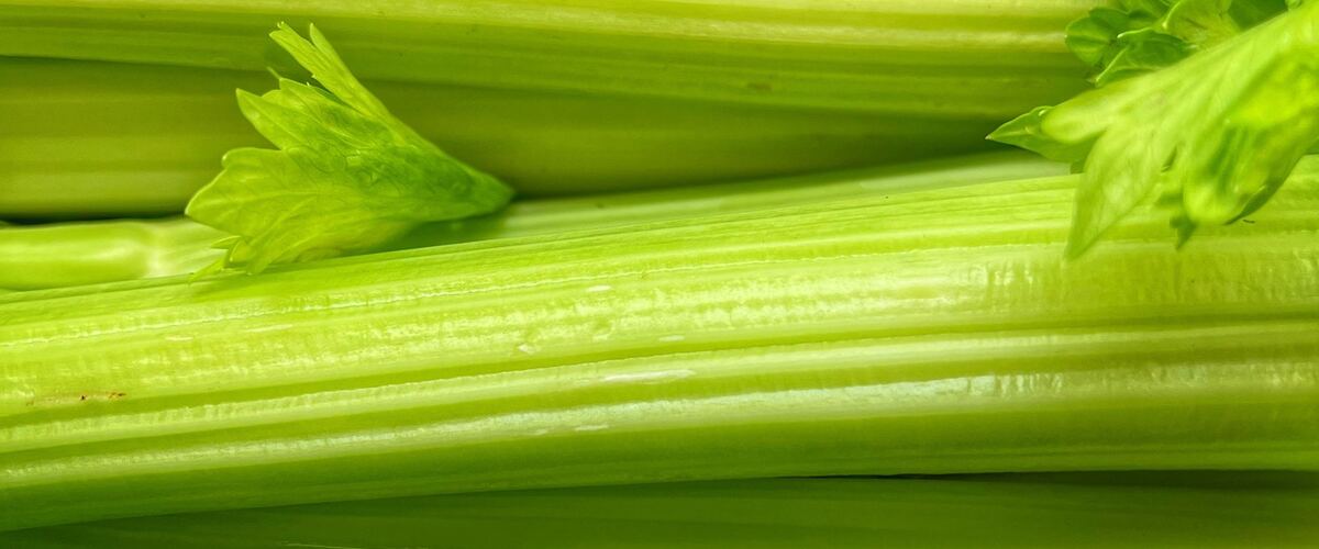 Crisp green celery stalks with leaves