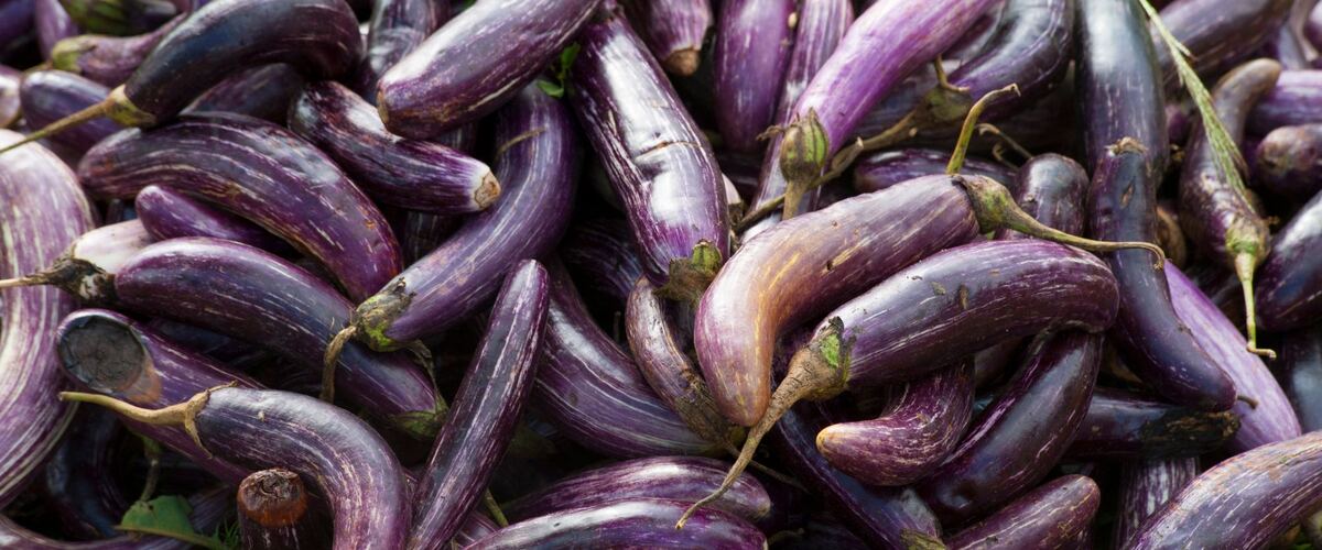 A pile of long purple eggplants