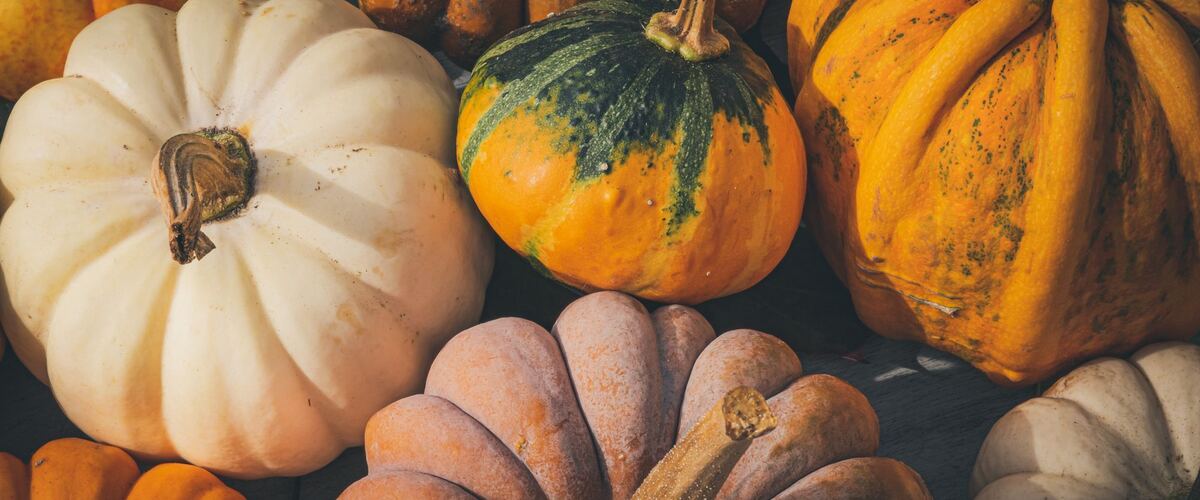 Orange, white and striped winter squash and pumpkins